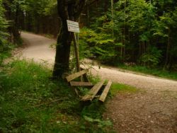 2013-07-27_Herzogstand-Pionier (532).JPG